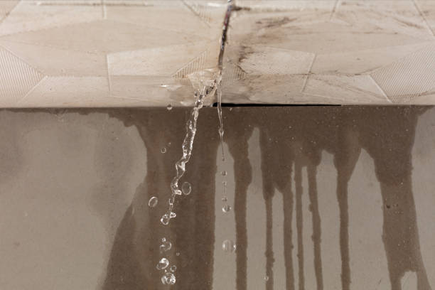 Professional Water Extraction technician working in Ihlen, MN